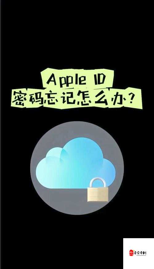 安全教育平台账号遗忘?别急,三步找回你的学习之旅!