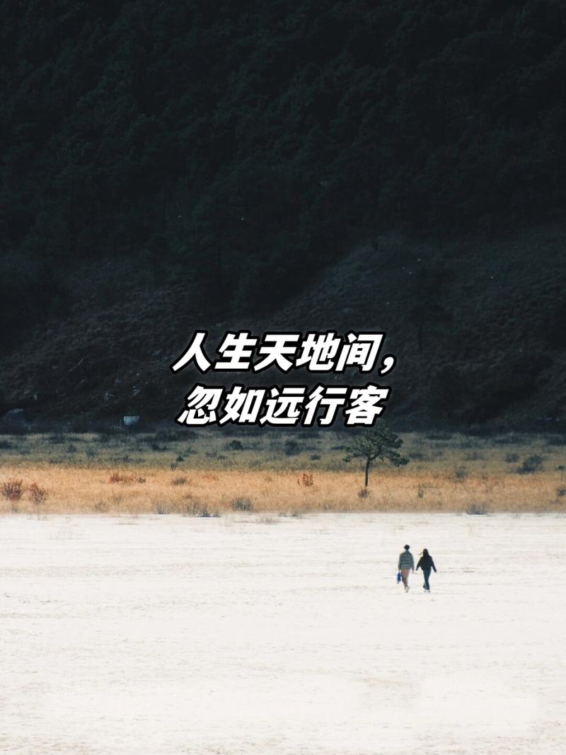 人生旅途,过客匆匆,何须执念于心间画卷