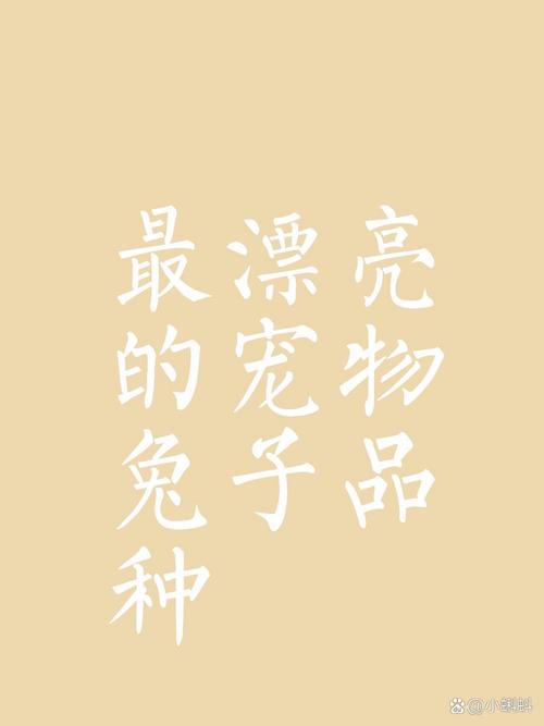 伊洛纳兔子尾巴在哪里刷,资源管理、高效利用与避免浪费