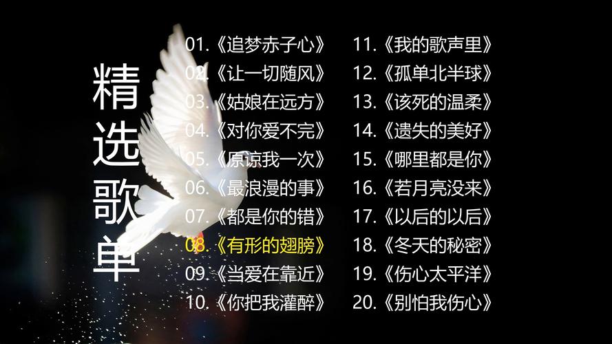 抖音热曲探秘,你总是把银簪插在太阳上面是什么歌?
