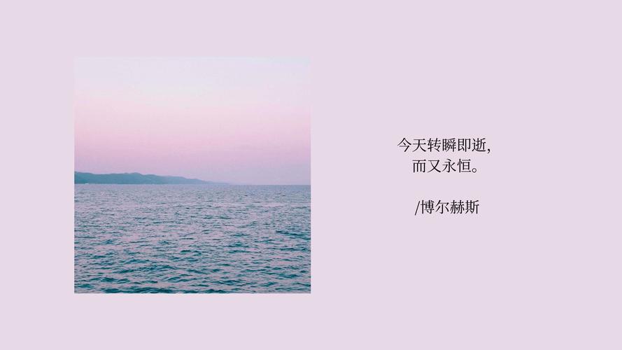 那一抹告别,藏在壁纸里的永恒瞬间