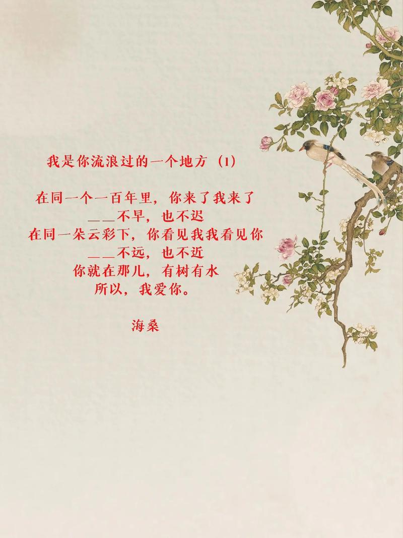 抖音我带着天真去流浪是哪首歌,资源管理与价值最大化
