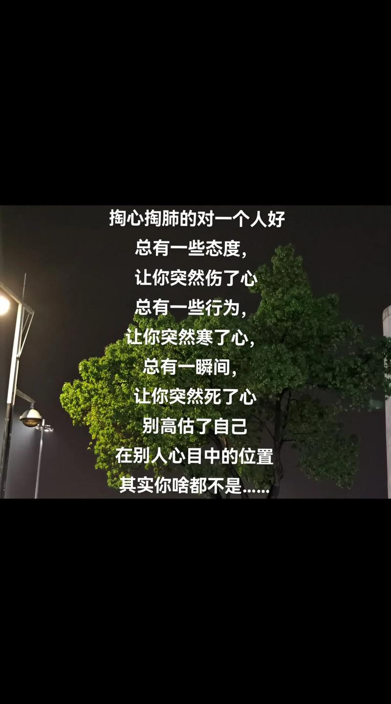 抖音热门旋律揭秘,爱的就是你,形影不离