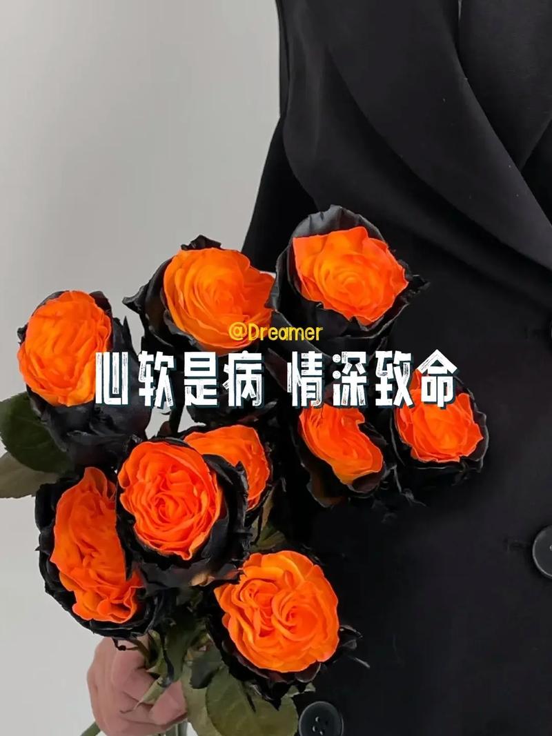 心软不是病,回头才致命,图片资源管理的艺术