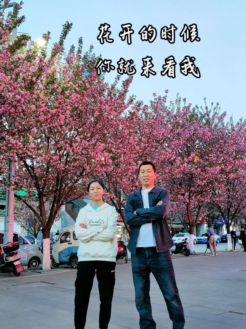 抖音花开的时候你就来看我是什么歌,在资源管理中的独特价值与实践策略