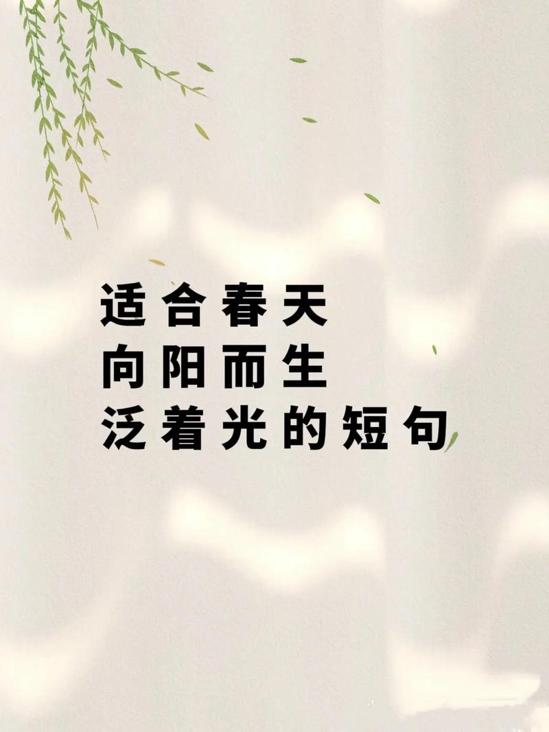 抖音热曲探秘,春风吹在资源管理中的启示与实践