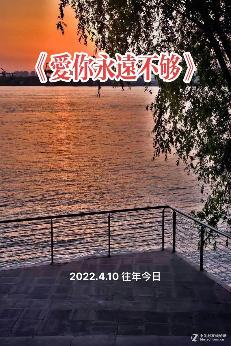 抖音热曲揭秘,若能选择,是否愿忘却每段过往?