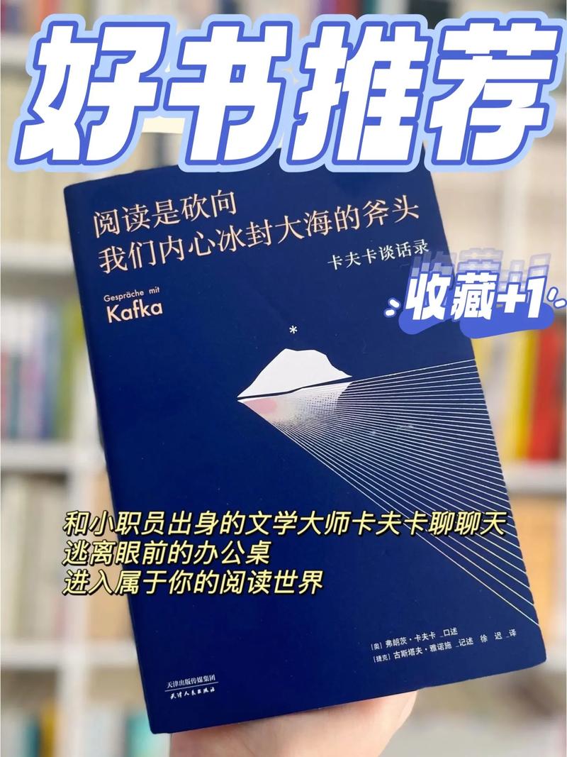 抖音我算是一个阅读爱情的学生是什么歌,在资源管理中的隐喻与策略