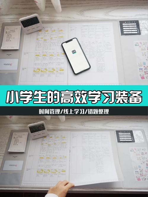 DNF8月26日每日一题答案分享,资源管理、高效利用与价值最大化