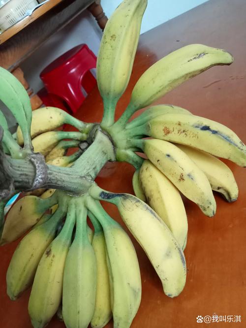 黡色香蕉视频:揭秘罕见水果的独特魅力与健康益处,完整视频在线观看