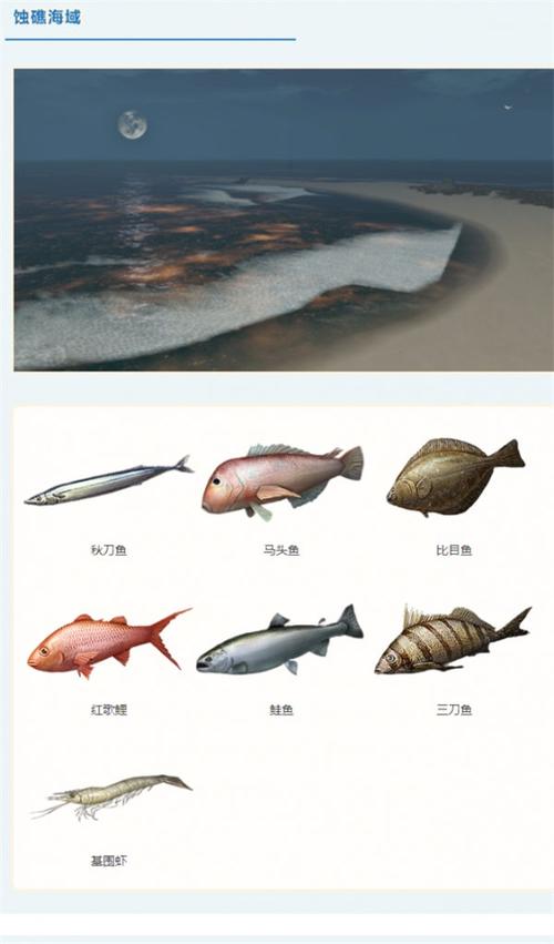 明日之后金枪鱼获取秘籍,解锁海洋美食的钥匙