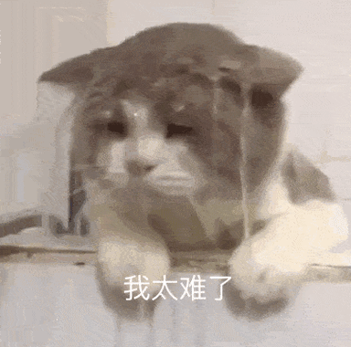 我太难了表情包，资源管理的新视角与实战策略