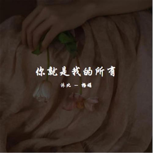 你是我的我是你的是什么歌,资源管理与价值最大化