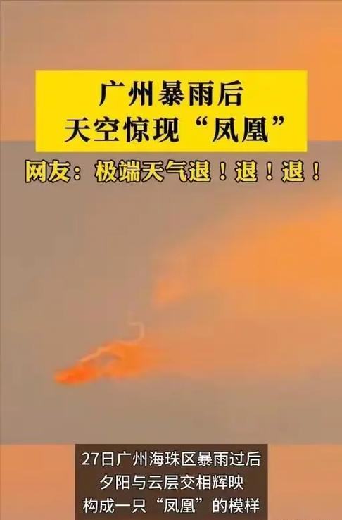 凤凰直播:精彩内容抢先看,你想知道凤凰直播有哪些亮点和特色吗?