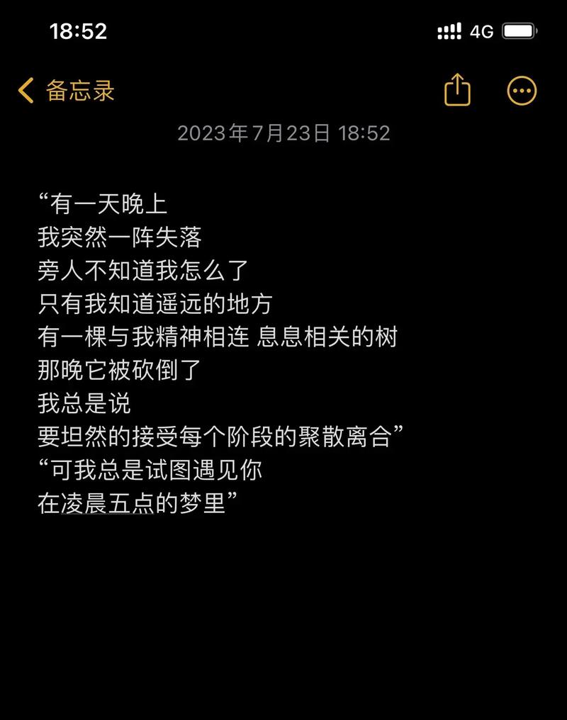抖音热门旋律揭秘,遇见你的那天起,我已丢失了自己
