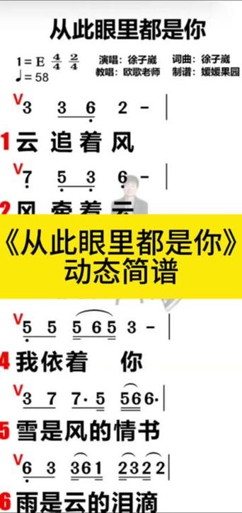 眼里的你很性感是什么歌,深入探索、高效管理与价值最大化
