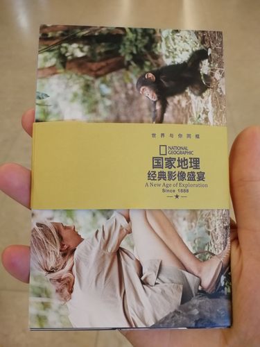 八卦海的 sj 执行官究竟是谁?其背后有着怎样不为人知的故事?快来一探究竟