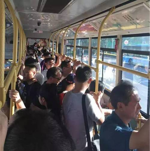 公交车上的混乱瞬间合集:乘客争吵、司机急刹、拥挤不堪,你遇到过吗?