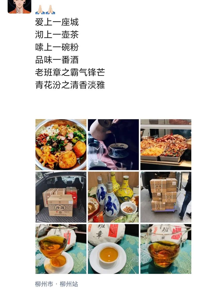抖音我习惯在包里藏一瓶百无聊赖是什么歌?SEO优化攻略