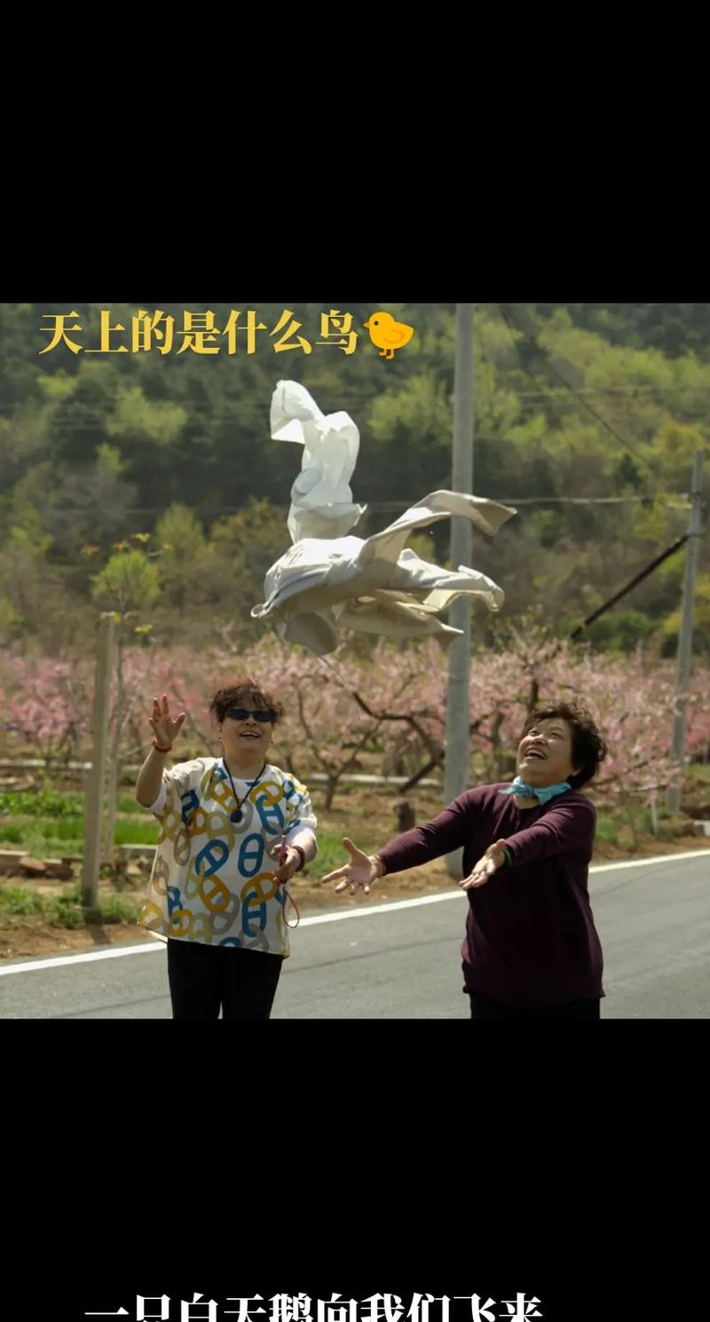 抖音热门BGM探秘,天上飞的是什么,鸟儿还是云朵背后的游戏魅力