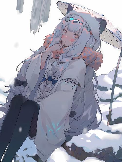 明日方舟初雪精二立绘攻略,从新手到精通的全面指南