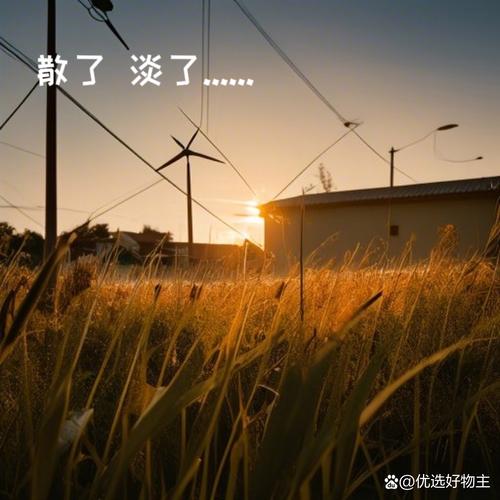 我想要一生醉在你世界是哪首歌的浪漫告白?