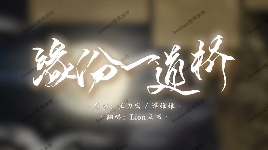 缘分一道桥,敢爱恨不能潦草的情感赞歌