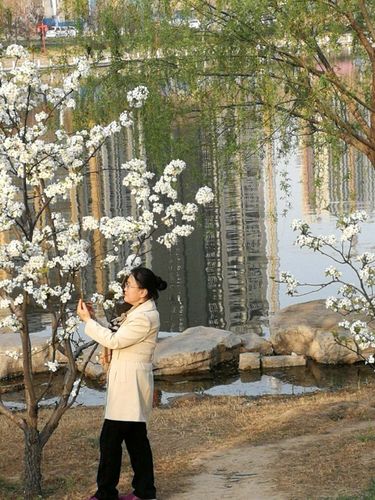 五十岁春天剧情大揭秘各分集精彩内容抢先看,不容错过