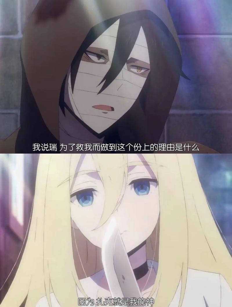 二次元人物扎克为何如此受欢迎?大家都想和他生猴子是怎么回事?
