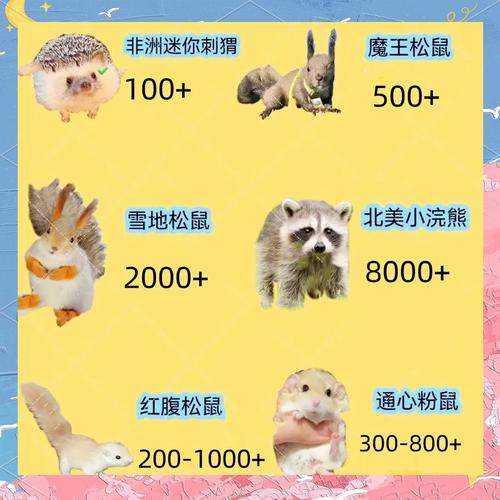 爆哭推荐!猎苑夺宠必出稀有宠物技巧公开,萌新也能轻松抱走神宠!